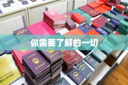 厦门你需要了解的一切