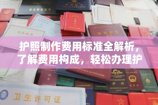 厦门护照制作费用标准全解析，了解费用构成，轻松办理护照